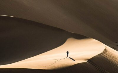 “Voce di uno che grida nel deserto”